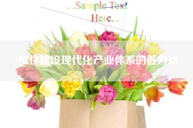 加快建设现代化产业体系的着力点