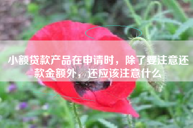 小额贷款产品在申请时，除了要注意还款金额外，还应该注意什么