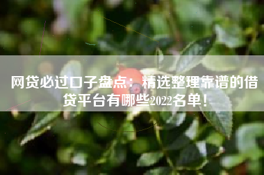 网贷必过口子盘点：精选整理靠谱的借贷平台有哪些2022名单！