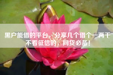 黑户能借的平台，分享几个借个一两千不看征信的，网贷必备！