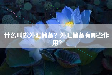 什么叫做外汇储备？外汇储备有哪些作用？