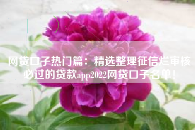 网贷口子热门篇：精选整理征信烂审核必过的贷款app2022网贷口子名单！