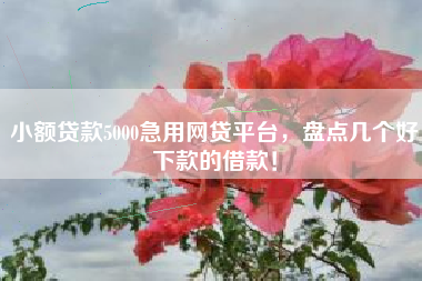 小额贷款5000急用网贷平台，盘点几个好下款的借款！