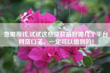 急需用钱,试试这些贷款最好哪几个平台网贷口子，一定可以借到的！