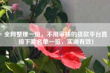 全网整理一份，不用审核的贷款平台直接下款名单一览，实测有效！