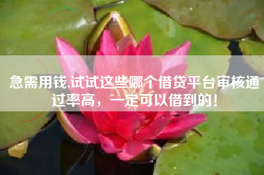 急需用钱,试试这些哪个借贷平台审核通过率高，一定可以借到的！