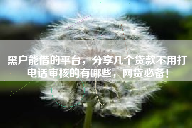 黑户能借的平台，分享几个贷款不用打电话审核的有哪些，网贷必备！