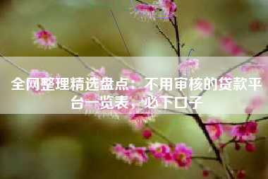 全网整理精选盘点：不用审核的贷款平台一览表，必下口子