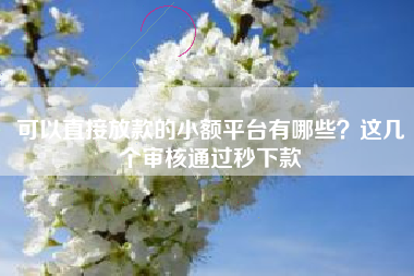 可以直接放款的小额平台有哪些？这几个审核通过秒下款