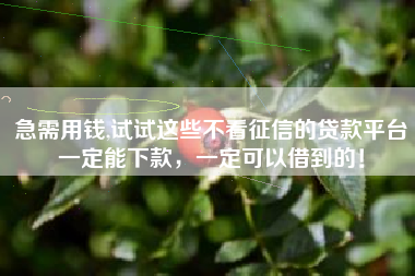 急需用钱,试试这些不看征信的贷款平台一定能下款，一定可以借到的！