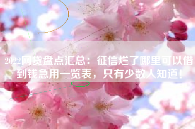2022网贷盘点汇总：征信烂了哪里可以借到钱急用一览表，只有少数人知道！