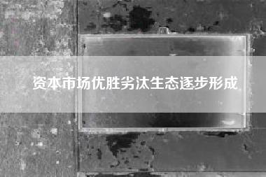 资本市场优胜劣汰生态逐步形成