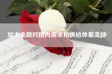 加大金融对国内需求和供给体系支持