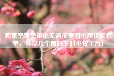 独家整理免审批无需征信的小额贷款名单，分享几个最好下的小贷平台！