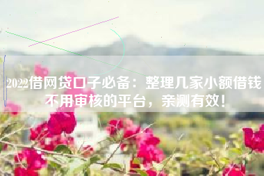 2022借网贷口子必备：整理几家小额借钱不用审核的平台，亲测有效！