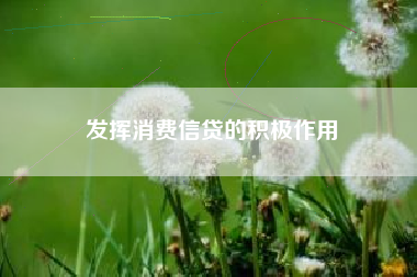 发挥消费信贷的积极作用