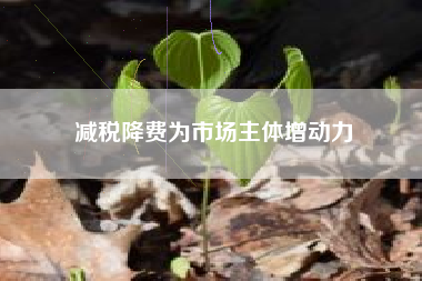 减税降费为市场主体增动力