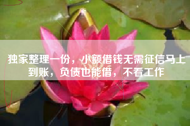 独家整理一份，小额借钱无需征信马上到账，负债也能借，不看工作