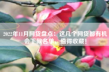 2022年11月网贷盘点：这几个网贷都有机会下款名单，值得收藏！