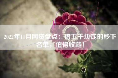 2022年11月网贷盘点：借五千块钱的秒下名单，值得收藏！