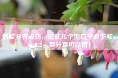 借款没有成功，试试几个黑口子必下款app2022，百分百可以借！
