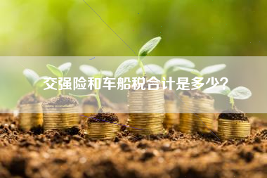 交强险和车船税合计是多少？
