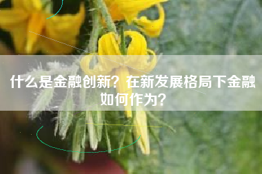 什么是金融创新？在新发展格局下金融如何作为？