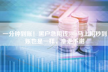 一分钟到账！黑户急用钱3000马上用秒到账也是一样，拿走不谢