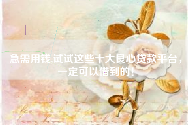 急需用钱,试试这些十大良心贷款平台，一定可以借到的！