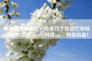 黑户能借的平台，分享几个征信烂审核必过的贷款app2022网贷app，网贷必备！