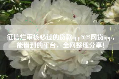 征信烂审核必过的贷款app2022网贷app，能借到的平台，全网整理分享！