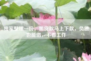 独家整理一份，黑贷款马上下款，负债也能借，不看工作