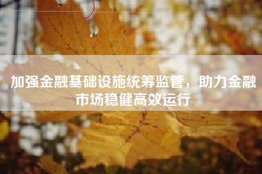 加强金融基础设施统筹监管，助力金融市场稳健高效运行