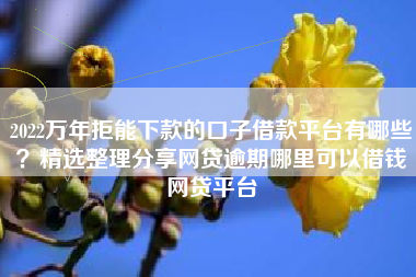 2022万年拒能下款的口子借款平台有哪些？精选整理分享网贷逾期哪里可以借钱网贷平台