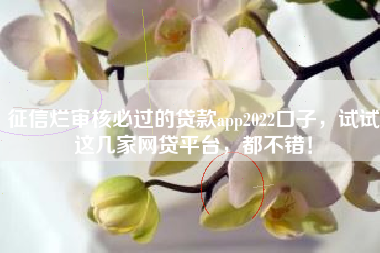 征信烂审核必过的贷款app2022口子，试试这几家网贷平台，都不错！