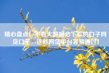 精心盘点，不看大数据必下款的口子网贷口子，这些网贷平台容易通过！