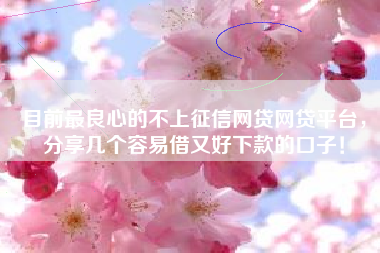 目前最良心的不上征信网贷网贷平台，分享几个容易借又好下款的口子！