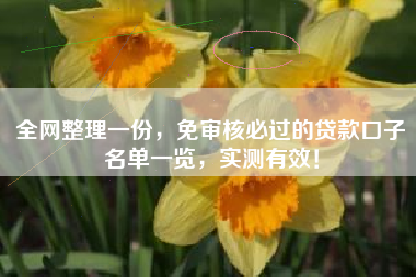 全网整理一份，免审核必过的贷款口子名单一览，实测有效！