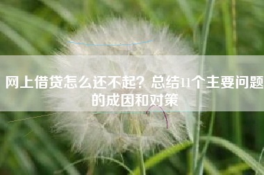网上借贷怎么还不起？总结11个主要问题的成因和对策