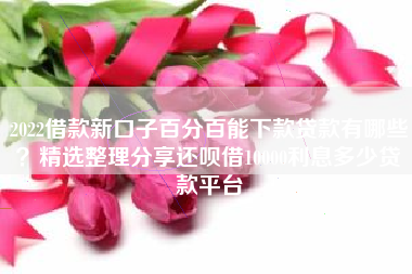 2022借款新口子百分百能下款贷款有哪些？精选整理分享还呗借10000利息多少贷款平台