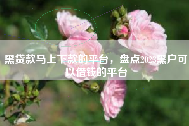 黑贷款马上下款的平台，盘点2023黑户可以借钱的平台
