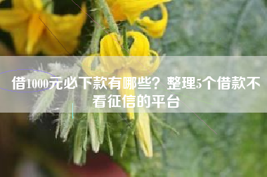 借1000元必下款有哪些？整理5个借款不看征信的平台