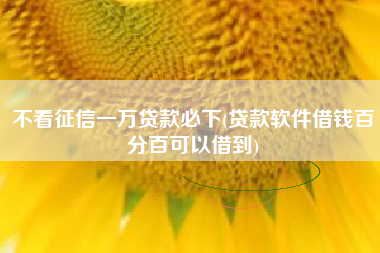 不看征信一万贷款必下(贷款软件借钱百分百可以借到)