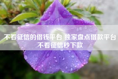 不看征信的借钱平台 独家盘点借款平台不看征信秒下款