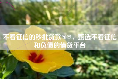 不看征信的秒批贷款2022，甄选不看征信和负债的借贷平台