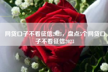 网贷口子不看征信2023，盘点5个网贷口子不看征信2023
