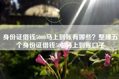 身份证借钱5000马上到账有哪些？整理五个身份证借钱5000马上到账口子