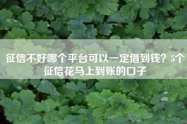 征信不好哪个平台可以一定借到钱？5个征信花马上到账的口子
