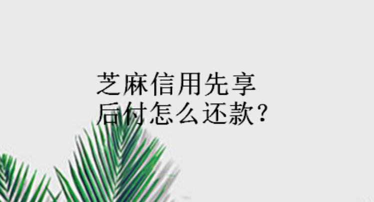 怎样设置芝麻信用先享后付自动还款？