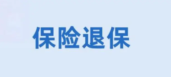 保险交了4万想退保能退多少？了解保险合同条款和退款比例的重要性